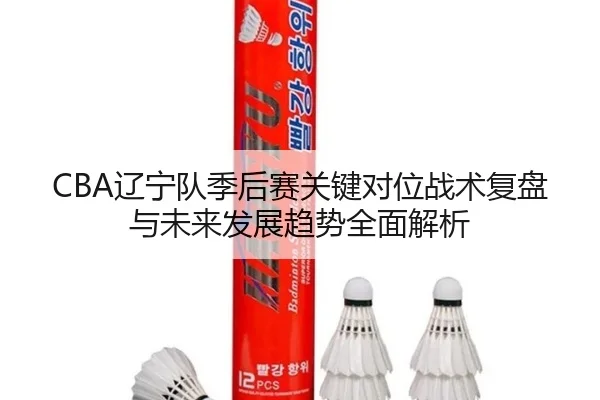 CBA辽宁队季后赛关键对位战术复盘与未来发展趋势全面解析